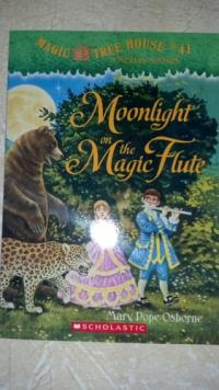 Moonlight on the Magic Flute