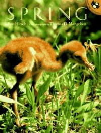 Spring
