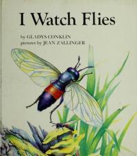 I Watch Flies