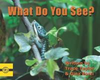 What Do You See?