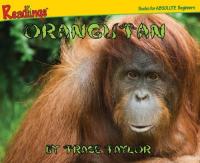 Orangutan