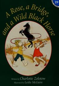 A Rose, a Bridge, and a Wild Black Horse