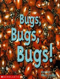 Bugs, Bugs, Bugs!