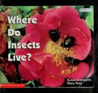 Where Do Insects Live?
