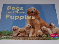 Dogs and Their Puppies [Scholastic]