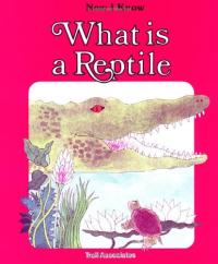 What is a Reptile