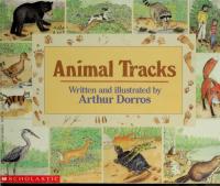 Animal Tracks