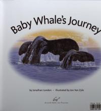Baby Whale's Journey
