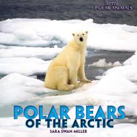 Polar Bears of the Arctic