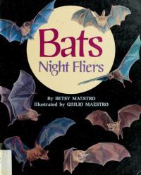 Bats Night Fliers