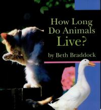 How Long Do Animals Live?