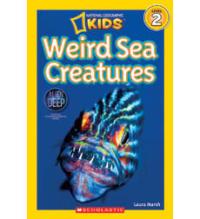 Weird Sea Creatures
