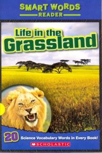 Life in the Grassland