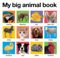 My Big Animal Book
