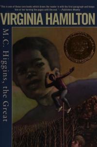 M.C. Higgins, the Great