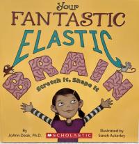 Your Fantastic Elastic Brain