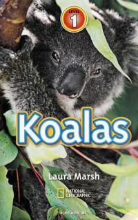 Koalas