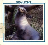 Sea Lions
