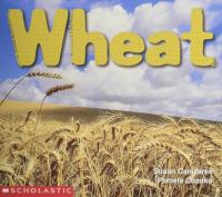 Wheat