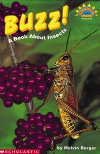 Buzz! A Book about Insects