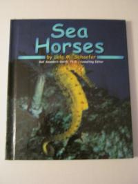 Sea Horses (Ocean Life)