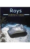 Rays (Ocean Life)