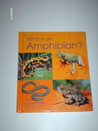 What Is an Amphibian? (The Animal Kingdom)