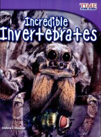 Incredible Invertebrates