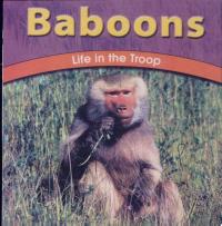 Baboons Life in the Troop