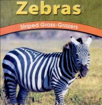 Zebras Striped Grass-Grazers
