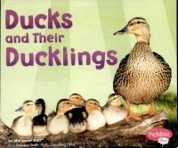 Ducks and Their Ducklings
