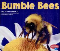 Bumble Bees