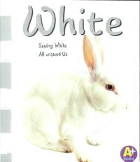 White Seeing White All Around Us