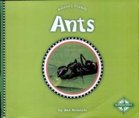 Ants