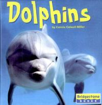 Dolphins
