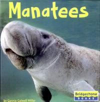 Manatees