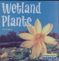 Wetland Plants