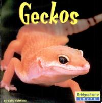 Geckos