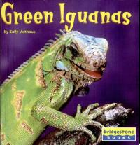 Green Iguanas