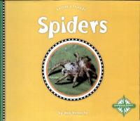 Spiders