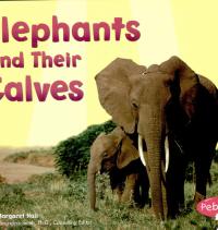 Elephants and Their Calves