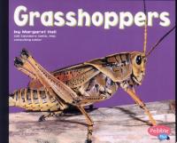 Grasshoppers