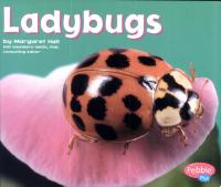 Ladybugs