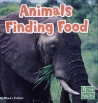 Animals Finding Food