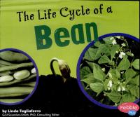 The Life Cycle of a Bean