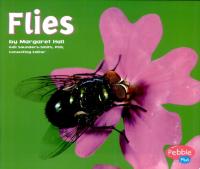 Flies