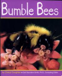 Bumble Bees