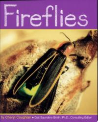 Fireflies