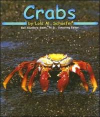 Crabs (Ocean Life)