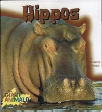 Hippos